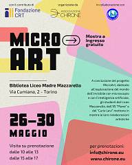 Mostra microart